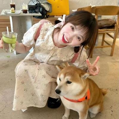 拥抱每一刻花火粤语